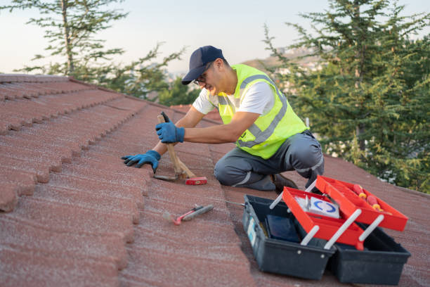Best Roof Repair Services  in Santee, CA